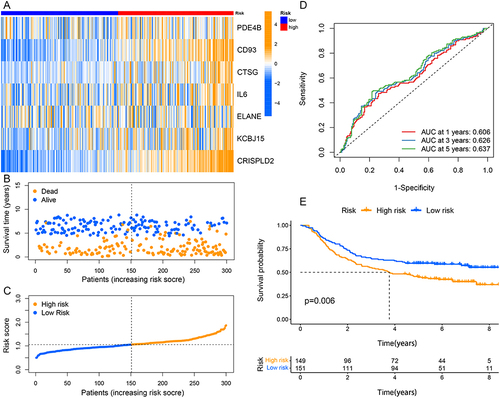 Figure 3 Validation of the prognostic signature in the GSE62254 cohort. (A) The heatmap of the seven screened NETs-related genes. (B and C) Patients’ survival status and risk score distribution of the prognostic signature. (D) Time-dependent ROC curves in the validation cohort. (E) Kaplan–Meier curves for comparison of the OS between different risk groups.