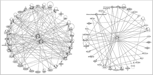 Figure 4. Gene networks involved in the analyses of males with p,p’-DDE exposure. The genes neighboring the significant CpG sites (with greater than 10% change of beta value per unit of p,p’-DDE change and with more than 1 significant CpG site per gene) were subjected to pathway analyses. The left panel shows the top network involved: developmental disorder, endocrine system disorders, and hereditary disorder. The right panel shows the next top network involving carbohydrate metabolism, organismal development, and nucleic acid metabolism.