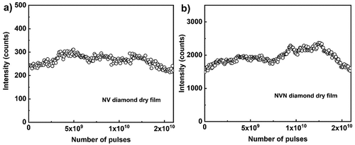 Figure 13. (Colour online) ASE peak intensity decay for NV (a) and NVN (b) fluorescent nanodiamond film. The excitation wavelength is 532 nm, 300 fs pulse with 0.16 GW/cm2 peak power density and the ASE peak intensity is collected from 670 nm emission peak, for every 5 × 105 pulses at a repetition rate of 100 kHz for NV fluorescent nanodiamond film. The excitation wavelength is 488 nm, 300 fs pulse with 99.5 MW/cm2 peak power density, and the ASE peak intensity is collected from a 513 nm emission peak, for every 106 pulses at a repetition rate of 100 kHz for NVN fluorescent nanodiamond film.