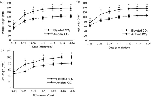 Figure 1. Comparison of leaf growth in strawberry under elevated and ambient CO2 concentrations. Petiole length (a), leaf width (b) and leaf length (c) under two different CO2 levels. Note: Data are mean values with standard error (±SEM) of three independent experiments (n = 3) with at least three measurements for each replicate. *P < 0.05.