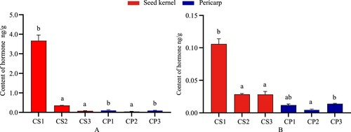 Figure 3. Change of content in CTK between seed kernel and pericarp. A. tZ; B. IP. Data represent the average of three replicates (n = 3) ± standard error. Different letters indicate significant di fferences by Duncan’s Multiple Range Test at p ≤ 0.05.