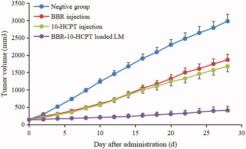 Figure 6. The tumor growth curve of nude mouse after intravenous administration of BBR injection and BBR-loaded LM.