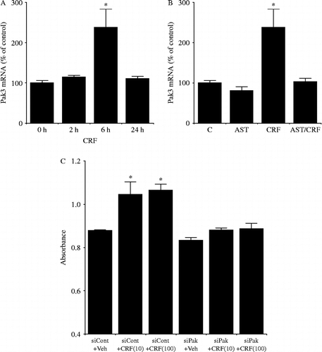 Figure 10.  Effects of CRF on Pak3 mRNA levels. (A) Time-dependent changes in CRF-induced Pak3 mRNA levels. Cells were incubated with medium containing 100 nM CRF for the times indicated. (B) Effects of a CRF receptor antagonist on CRF-induced Pak3 mRNA levels. Cells were pre-incubated with medium containing 1 μM astressin (AST) or vehicle for 30 min and then incubated for 6 h with medium containing 100 nM CRF or vehicle. (C) Effects of Pak3 on CRF-induced AtT-20 cell viability. The AtT-20 cells were incubated for 24 h in culture medium containing siRNA for either control (siCont) or Pak3 (siPak). After incubation, AtT-20 cells were incubated for 48 h in culture medium containing either CRF (10 or 100 nM) or the vehicle (Veh). Cell viability was measured by WST-1 colorimetric assay; *P < 0.005 (compared with control (0 h or C)). [Reproduced with permission from Kageyama et al. (Citation2009b). Copyright © Elsevier.]