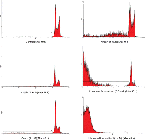 Figure 4.  Flow cytometry histograms of apoptosis assays by propidium iodide (PI) method in HeLa cells after 24 and 48 h. HeLa cells were treated with (1, 2, and 4 mM) of crocin and (0.5 and 1 mM) of crocin nanoliposomes for 24 and 48 h. Sub-G1 peak as an indicative of apoptotic cells was induced in crocin and nanoliposome-treated but not in control cells.