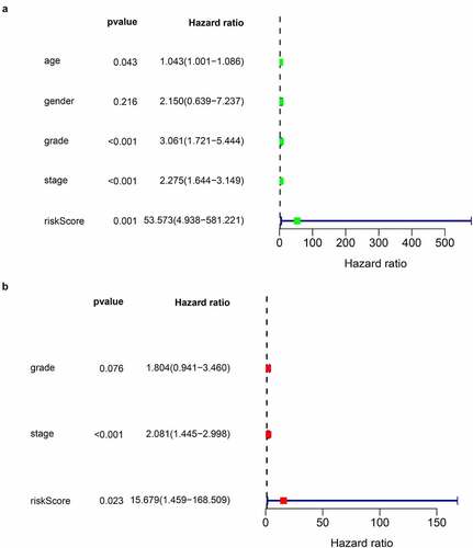 Figure 7. Univariate and multivariate Cox regression analysis forest plot of validation cohort 2