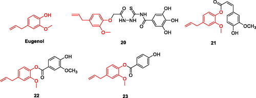 Figure 3. The chemical structure of eugenol and its derivatives 20–23.