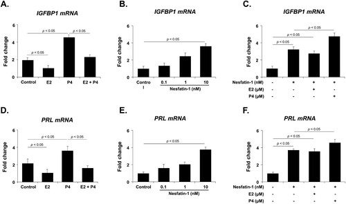 Figure 4. IGFBP1 and PRL mRNA expression after E2 and P4 treatment in THESC cells. (A, D) IGFBP1 and PRL mRNA expression is significantly decreased by E2 treatment but increased by P4 treatment. The increase in IGFBP1 and PRL mRNA expression induced by P4 treatment is attenuated by co-treatment with E2. (B, E) Nesfatin-1 treatment dose-dependently increases the expression of IGFBP1 and PRL mRNA. (C, F) When THESC cells were co-treated with nesfatin-1 and E2 or P4, P4 treatment enhanced IGFBP1 and PRL mRNA expression, whereas E2 had no effect. All data are represented as mean ± SEM (n = 6). Differences between values were considered statistically significant when p < 0.05.