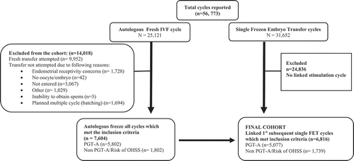 Figure 1. Flow chart of study participant selection