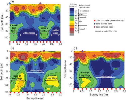 Figure 6. Contour diagrams of soil hardness in the growth bases with the row deep tillage. A part of this figure is modified from Ono and Imaya’s (Citation2017) report. (a) US site (for ID No. 1), (b) HM site (for ID No. 2), (c) HM site (for ID No. 3).