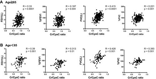 Figure 6 The figures show the correlation analyses between the serum Cr/CysC ratio and age (A), BMI (B), low attenuation area (LAA%) (C), forced expiratory volume in 1 second (FEV1) (D), FEV1/forced vital capacity (FVC) (FEV1%) (E), FEV1% predicted (%FEV1) (F), FVC (G), and FVC % predicted (%FVC) (H).
