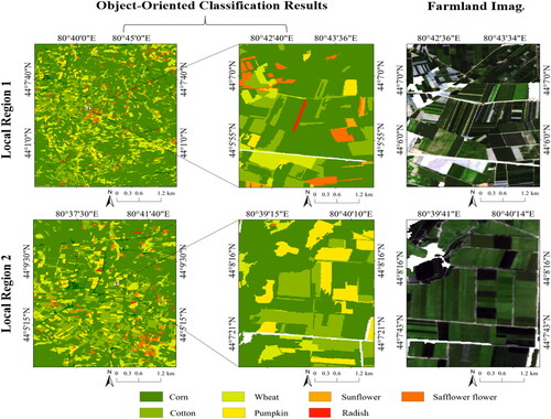 Figure 9. The result map of local region classification based on object-oriented.