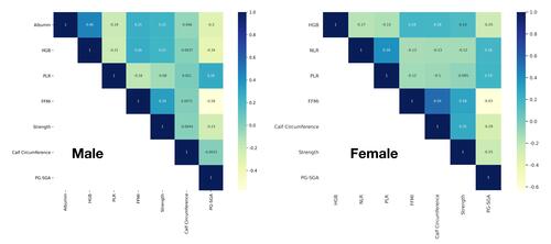 Figure 1 Correlation matrix for male and female patients.