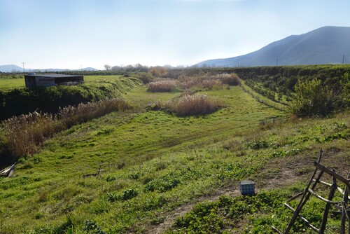 Figure 4. Photograph of an abandoned channel in the delta (Referred to as Field Photography E on the main map for its location) (copyright: A. Chabrol).