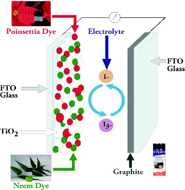 Figure 1. Schematic representation of a dye-sensitised solar cell.