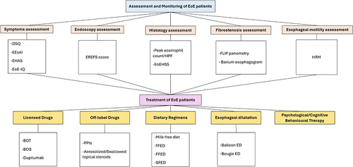 Figure 3 Summary of optimal assessment and management of patients with EoE shows the summary of available options to improve the assessment, monitoring, and treatment of patients with EoE.