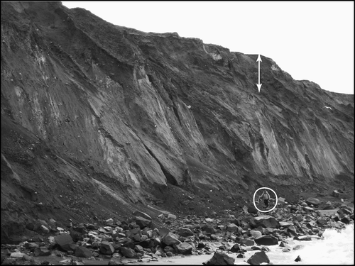 Figure 6 Black-and-white photograph of 15- to 20-m-high sea cliff along west coast that exposes massive pyroclastic-flow deposits of unit 2 at base and units 3 and 4 in upper degraded portion (in approximate position of white arrow). Unit 2 extends more than 5 m below beach. Person circled for scale; note large angular boulders on beach eroded out of 2008 deposits (USGS photograph by W. E. Scott).