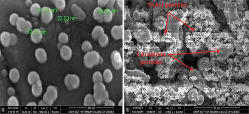 Figure 3. SEM micrographs of Nickel-20 chromium nano-materials before mixing with ZRC