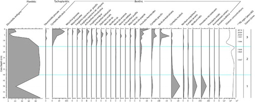 Figure 5. Stratigraphic plot of diatom change for Lake Rotokawau. Taxa with percentages >2% shown. Zones are diagnostic, based on major taxa changes described in the text.