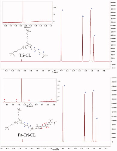 Figure 4. 1H NMR spectra of TRI-PCL and FA-TRI-PCL.