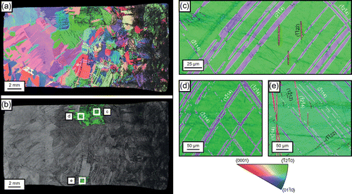 Figure 4. (colour online) (a) EBSD scan of a longitudinally sectioned ballistically tested projectile acquired at 25 kV with a 15 μm step size, inverse pole figure colouring and band contrast. The loading direction is in the horizontal direction, with the impact face on the right-hand side. (b) Band contrast with grains whose c-axes were within 6° of the loading direction highlighted in green. (c)–(e) EBSD scans of the highlighted green grains in (b) acquired at 25 kV with a 0.5 μm step size, with inverse pole figure colouring and band contrast, showing large twins outlined in white and smaller twins outlined in black.