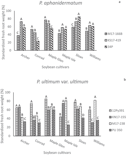 Fig. 5 Standardized fresh root weights (%) in greenhouse inoculum layer assays with 14 Pythium species and six soybean cultivars. Different letters indicate significantly different effects of isolates on individual cultivars based on Tukey’s multiple comparison tests (α = 0.05). Pythium spp. represented are (a) Pythium aphanidermatum, (b) P. ultimum var. ultimum, (c) P. spinosum, (d) P. irregulare, and (e) P. sylvaticum.