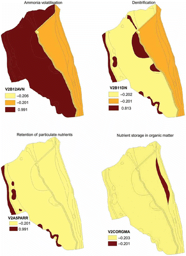 Fig. 5 Example of Wetland Evaluation Decision Support System (WEDSS) output; functional assessment of a wetland for the ecosystem service of water quality improvement via nutrient retention/removal. Individual functions of ammonia volatilization, denitrification, particulate retention and nutrient storage in organic matter are illustrated, with darker coloured areas representing higher degrees of performance.