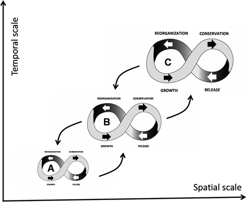 Figure 3. A series of nested adaptive cycles forming a panarchy to describe the university ecosystem.