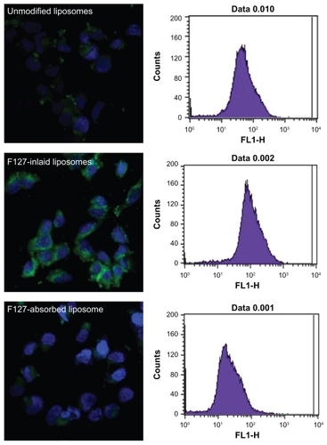 Figure 4 Confocal laser scanning microscopy and flow cytometry histogram of cellular uptake of coumarin 6-loaded liposomes, Pluronic® F127-inlaid liposomes, and Pluronic F127-adsorbed liposomes (green fluorescence) into Caco-2 cells. Nuclear staining was performed by DAPI (blue staining). The image was representative of three experiments with similar results.