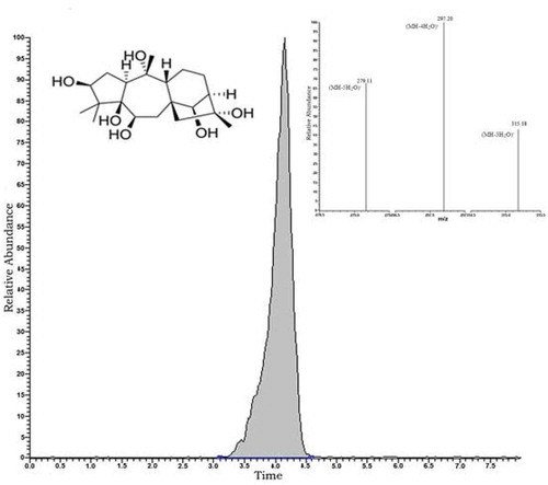 FIGURE 2 LC-MS/MS Chromatogram of 1 µg/mL GTX-III and Product Masses of m/z 369. (m/z 279, m/z 297, m/z 315).