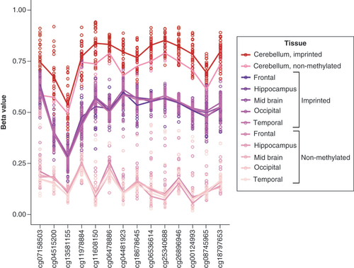 Figure 5. Methylation level of nc886 in cerebellum and in five other brain regions (GSE72778). Individuals have been grouped to imprinted and nonmethylated based on data of the five brain regions where nc886 displayed a bimodal methylation pattern (frontal lobe, hippocampus, midbrain, occipital lobe and temporal lobe). Compared with other brain regions, the cerebellum shows higher levels of methylation in both groups, but there is a statistically significant difference in the methylation between individuals clustered as imprinted and nonmethylated. Similar pattern can be observed in dataset GSE134379 (Supplementary Figure 11).