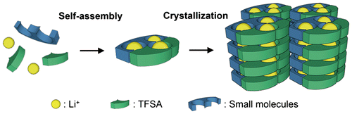 Figure 1. Schematic diagram of the development of ion conduction paths using supramolecular assemblies.