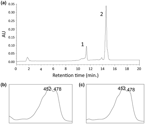 Figure 2. Analysis of carotenoids extracted from Pseudomonas sp. strain Akiakane. (a) HPLC chromatogram of carotenoids extracted from Pseudomonas sp. strain Akiakane. 1; β-cryptoxanthin, 2; β-carotene. (b) Absorbing spectra of the peak 1. (c) Absorbing spectra of the peak 2.