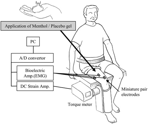 Figure 2. Experimental setup. Subjects sat on an adjustable chair-like device and the lower leg was attached to a plate connected to a torque meter.