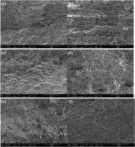 Figure 26. Microscopic morphology of fracture surfaces in wire arc additive manufacturing of 18Ni-300 steel with ultrasonic impact assistance.