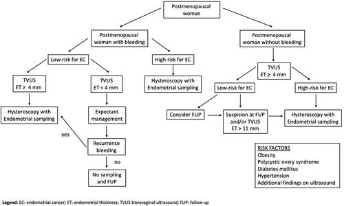 Figure 1 Flowchart of EC risk factors and procedures for postmenopausal woman.