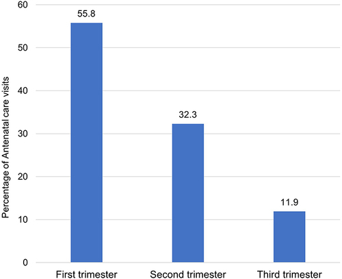 Figure 1 Timing of antenatal care visits by pregnant women.