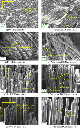 Figure 6. SEM analysis of dry and water-soaked specimens (with nanoclay).