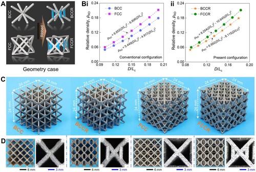 Figure 2. Geometric design and specimen demonstration. (A) Geometry case; (B) Relative density of (i) conventional structure and (ii) ribbed geometry; (D) Specimens fabricated with stainless-steel 316L; (E) Front view and enlarged unit cell diagrams of four samples.