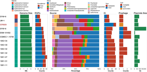 Figure 6. Distribution of RGPs and MGEs in Cysteiniphilum genomes. From left to right represent strain species, genome size, number of RGPs, genus levels source of the closest homologs of proteins encoded on RGPs, number of IS, number of phages and total length of predicted plasmid sequences.