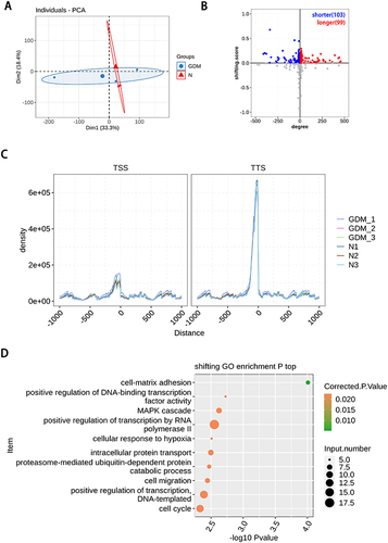 Figure 2 Poly(A) site sequencing revealed alternative polyadenylation events in gestational diabetes mellitus. (A) PCA base on FPKM value of all detected genes in PAS-seq. The ellipse for each group is the confidence ellipse; (B) scatter plot showing the number of genes changing TTS. Gray dots refer to genes with no statistical significance; (C) enrichment of around transcriptional start site (TSS) and terminal site (TTS). Normalized reads count (RPM) in a ± 1000 bp window around TSS and TTS for all transcripts. RPM, reads per million; (D) the Scatter plot exhibiting the most enriched GO biological process results of the difference with TTS.