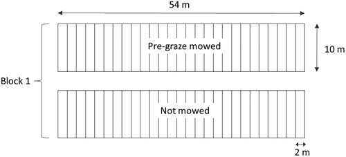 Figure 1. A block in the experiment as established in each of two paddocks on each of nine dairy farms illustrating the layout of the ‘pregraze mowing’ main plots (10 m × 54 m) and the ‘herbicide’, ‘growth promoter’ and ‘Sclerotinia’ subplots (2 m × 10 m).