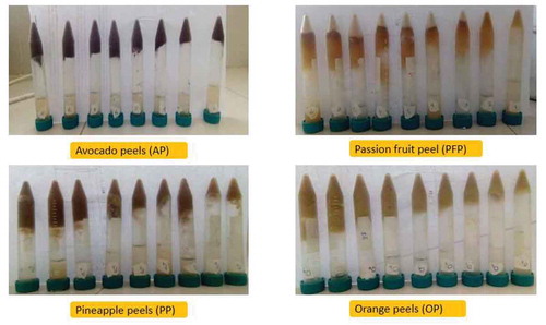 Figure 2. Test for find least gelation concentration (peel concentrations were increased from right to left as 2 to 10%)
