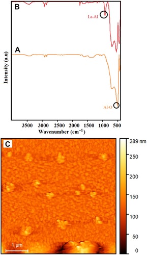 Figure 5 The FT-IR spectrum of the α-Al2O3 (A), La3+/α-Al2O3 nanocomposites as-synthesized after 300°C (B) and AFM images of the La3+/α-Al2O3 nanocomposites after annealing at 200°C for 6 hours (C).