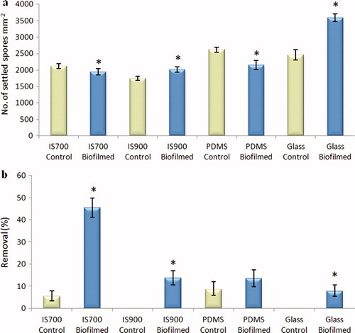 Figure 5. Effect of bacterial biofilms of C. marina on the settlement and the adhesion strength of spores of U. linza on a range of test surfaces. (a) Mean density of settled spores on control (non-biofilmed) and biofilmed surfaces obtained from the count of three replicate slides (n = 90). Error bars represent ± 2×SE. (b) Mean percentage removal of spores on control and biofilmed surfaces, calculated from the counts of three replicate slides exposed to 52 Pa shear stress compared with the three unexposed replicate slides. Error bars represent ± 2×SE calculated from arcsine-transformed data. For the two figures, asterisks show the values that are significantly different to control surfaces (ANOVA, p < 0.05).