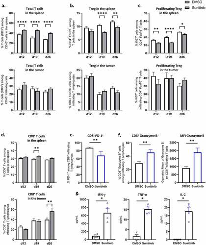 Figure 6. Sunitinib treatment decreases Treg in the spleen and strongly increases CD8+ T cells population and function in the tumor.