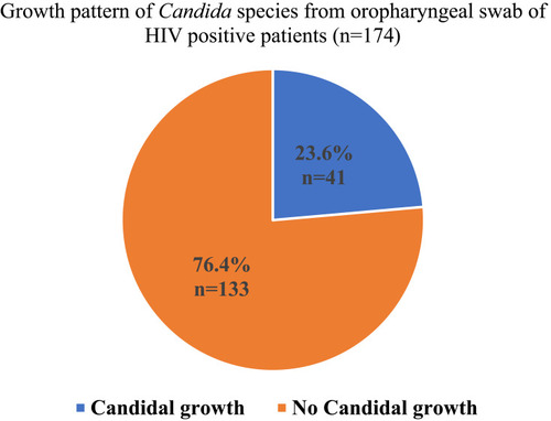 Figure 1 Growth pattern of Candida spp. from oropharyngeal swabs of HIV-positive patients.