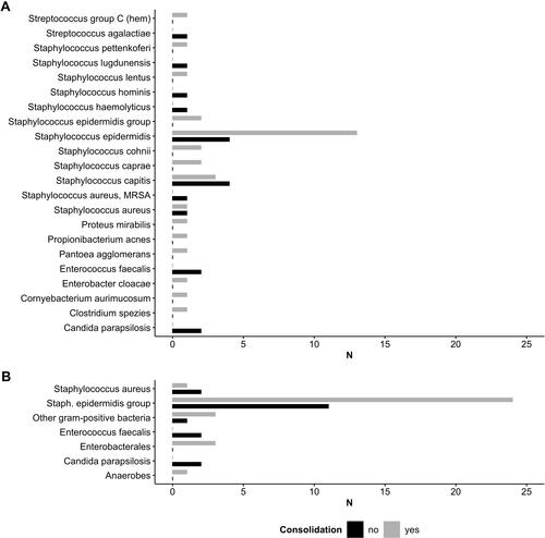 Figure 3 (A) shows the individual pathogens found during microbiological analysis of intraoperative tissue samples for responder (consolidation) and non-responder (no consolidation) of treatment. (B) Pathogens were summarized into coherent groups of bacteria by an experienced microbiologist.