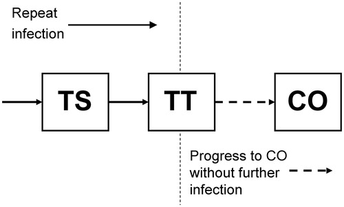 FIGURE 1. Trachoma disease model diagram. Compartmental disease model based on the ladder of infection framework of Gambhir and colleaguesCitation7 with an extension to take into account development of corneal opacities (CO) from the population of those who previously developed trachomatous scarring (TS) and then trichiasis (TT). The disease states TS and TT are developed through repeat infection, but development of CO is not linked to further infection and occurs at a constant rate as a consequence of mechanical corneal damage incurred by those with TT (see Supplemental Appendix for model parameters).