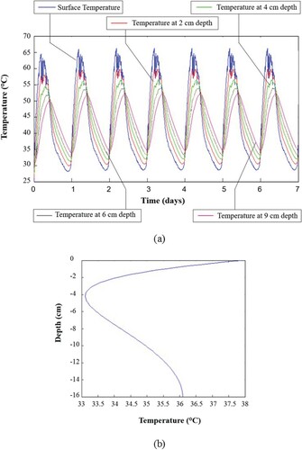 Figure 3. Temperature variation at: (a) specified depths with time; (b) continuous depths.