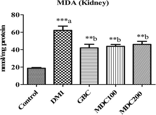 Figure 6. Effect of D. corderoyi extract on Malondialdehyde (MDA) in kidney of streptozotocin-induced diabetic rats. Data are expressed as mean ± SD. *** = p ≤ 0.001, ** = p ≤ 0.01, * = p ≤ 0.05 are the p values of significant differences in the different treatment groups in comparison to the normal control group. The letters indicate significant difference from diabetic rats.